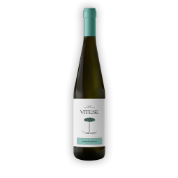 Vino Vitese Chardonnay Bianco Colomba Bianca