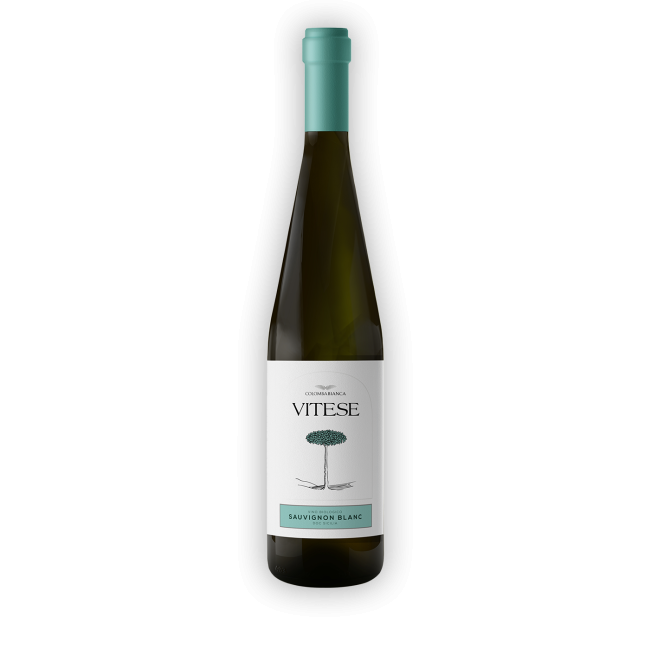 Vino Vitese Sauvignon Blanc Colomba Bianca